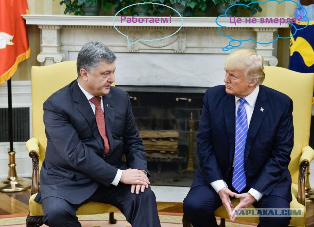 Жириновский снова не в себе: Разрыв Договора о дружбе с Россией позволит оспорить нынешние границы Украины