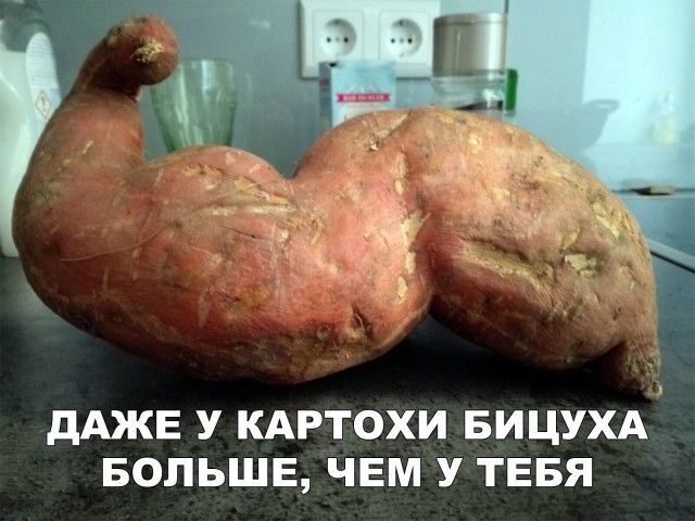 Нестандартный юмор