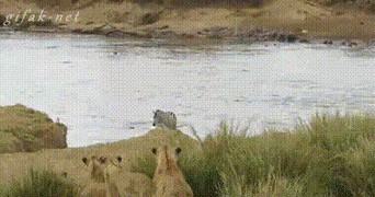 Когда задумался и забрел не в свой район...