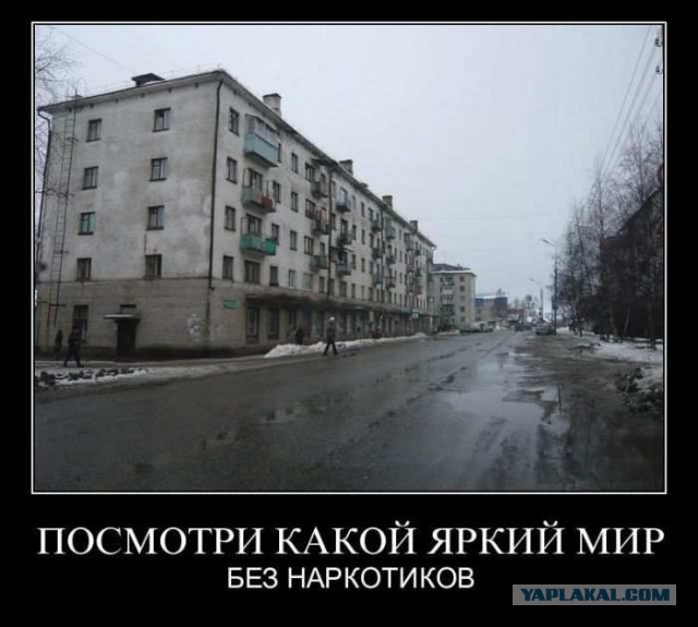 Альтернатива "Лучше для мужчины нет". Про бритье..