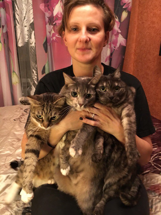Парочка причин завести себе кота
