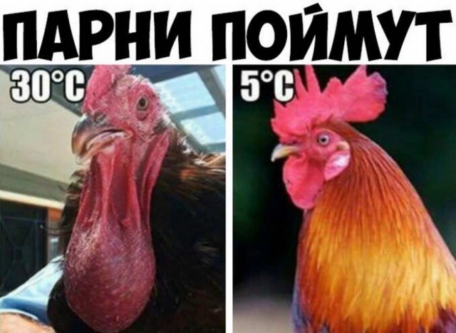 Бредзона