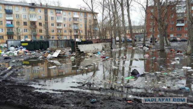 Удивительные снимки с российских просторов 21.04.19