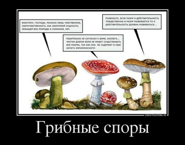 Картинки с претензией на юмор