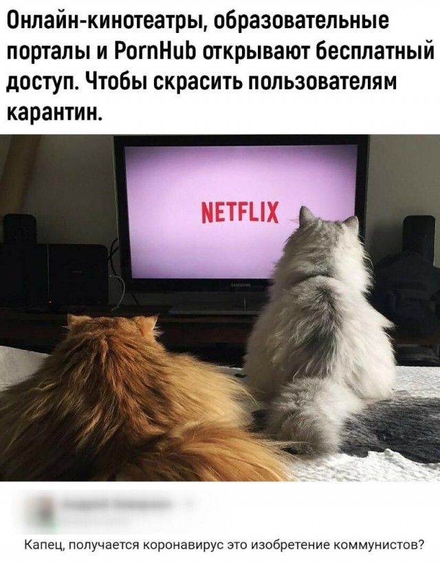 Весёлый коронавирус и не только