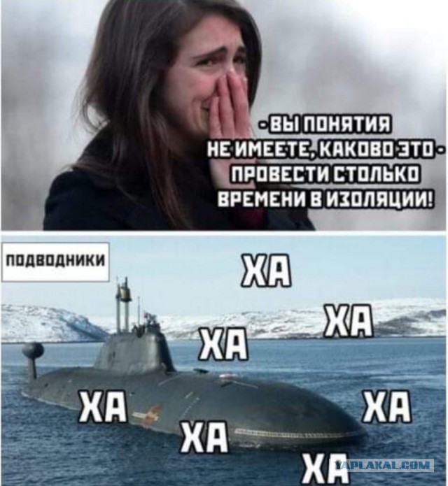 Немного картинок в эту необычную пятницу