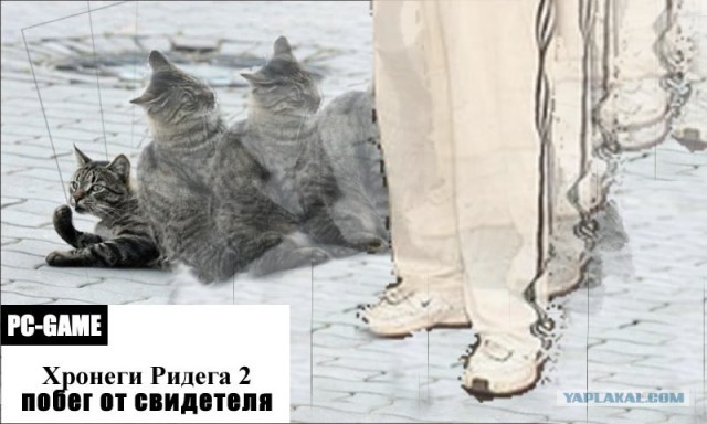 Подпиши фото!