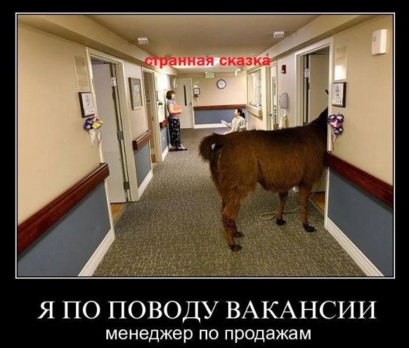 Дядя Вова утверждает, что если платить меньше нашим топ-менеджерам, то они разбегутся