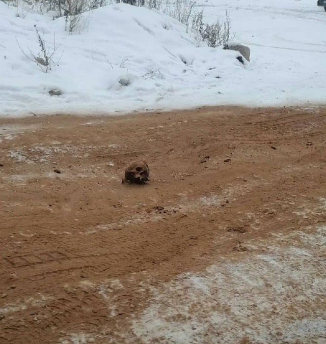 Песком с человеческими костями посыпали дорогу в Киренске