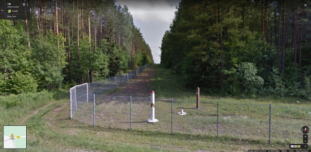 Лось эмигрировал из Беларуси в Литву, перепрыгнув забор на границе