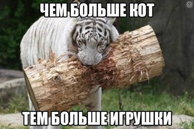 Картинки и мемы для настроения 015