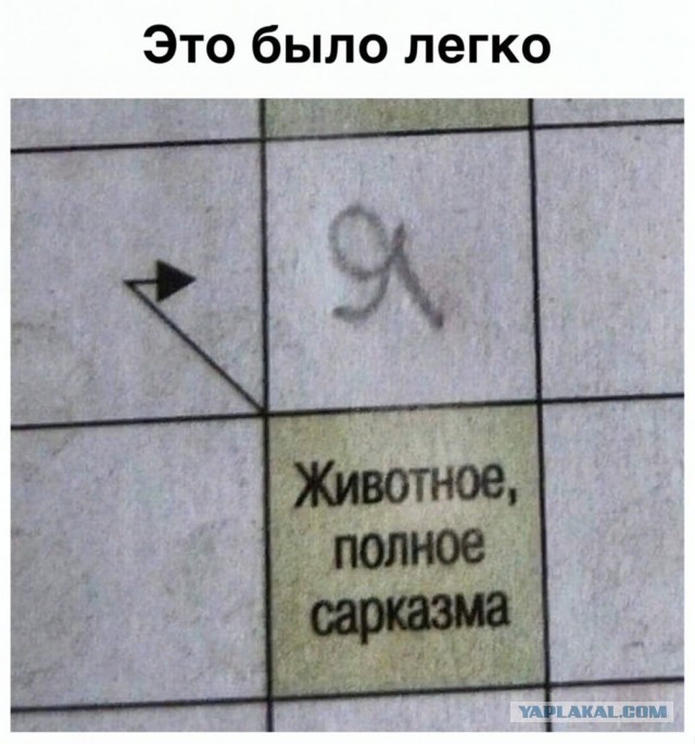 Свинегрет: картинки, надписи и прочее на 20.02.21 или №30