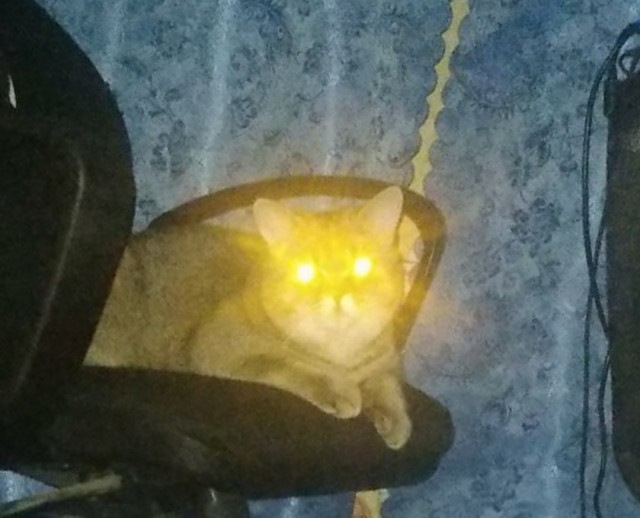 Аннушка