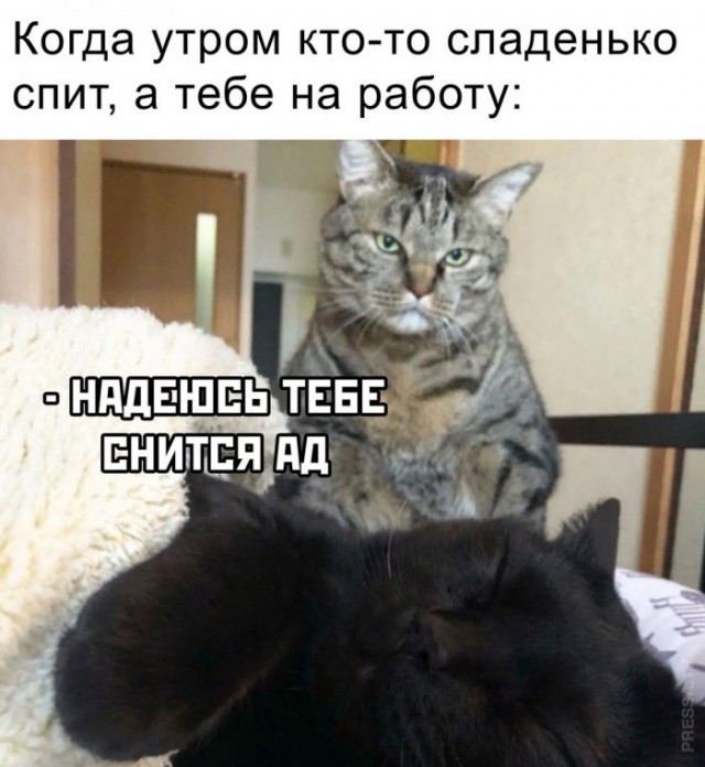 Картинки с надписями и всякие жизненные фразы 25.04.21