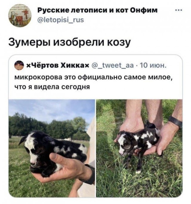 Картинки и мемы для настроения 16.06.2021