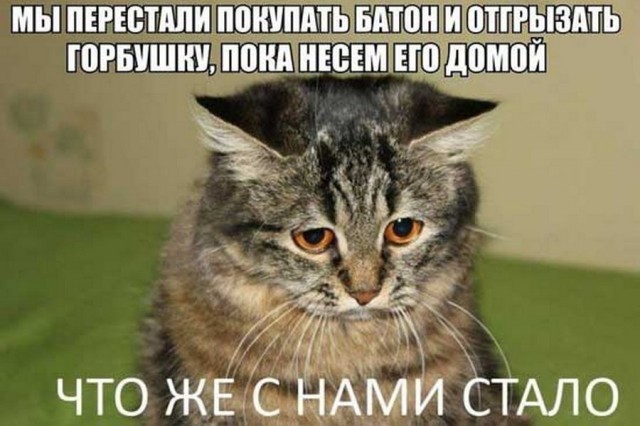 Картинки и мемы для настроения 24.08.2021