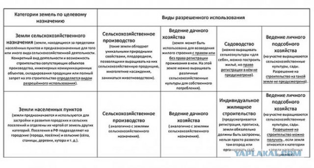ВС запретил разводить на садовых участках сельскохозяйственных животных