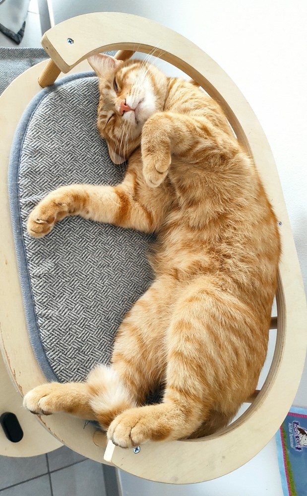 Вторник. Котэ. Пора