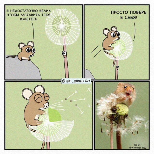 Картинки и мемы для настроения 02.02.2022