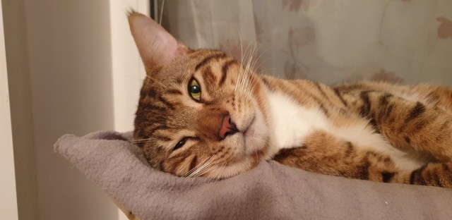 А что, уже вторник?