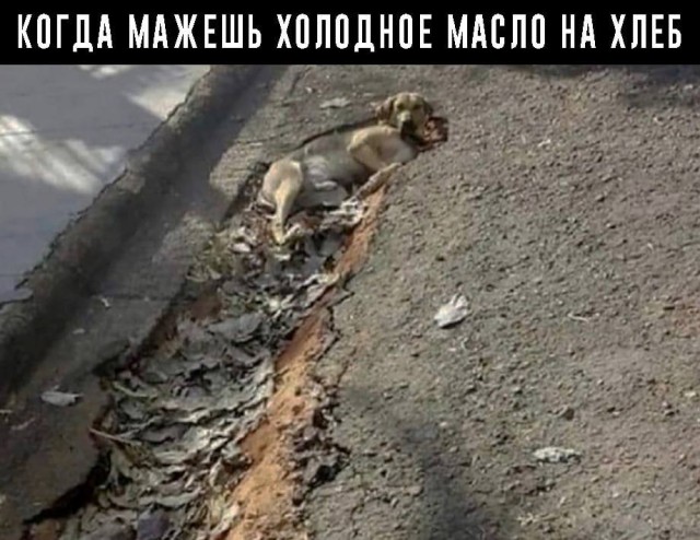 Картинки аморальные и всякие разные - 28