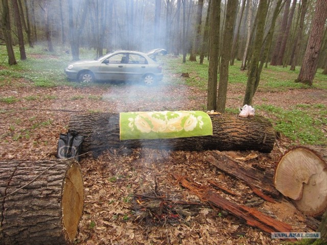 Сало - сила!