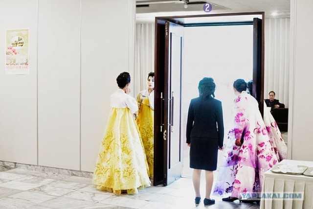 Северная Корея "в цвете"