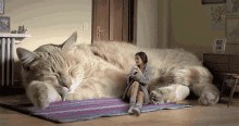 Да у него просто кость широкая