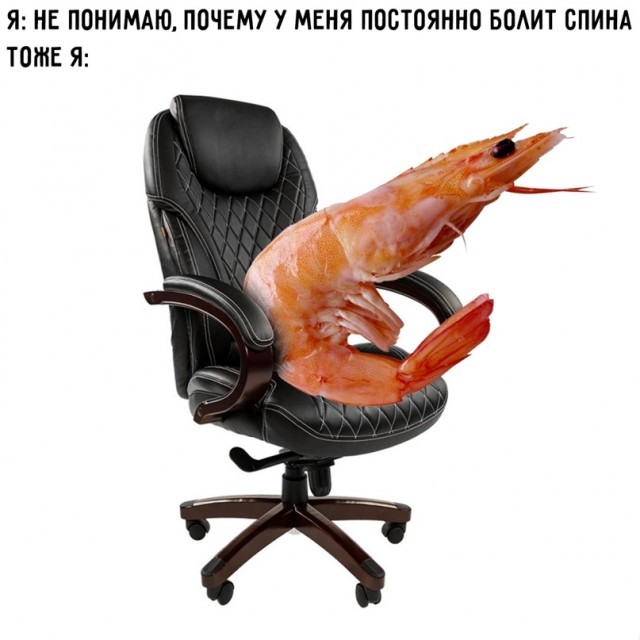 Картинки и мемы для настроения - 27