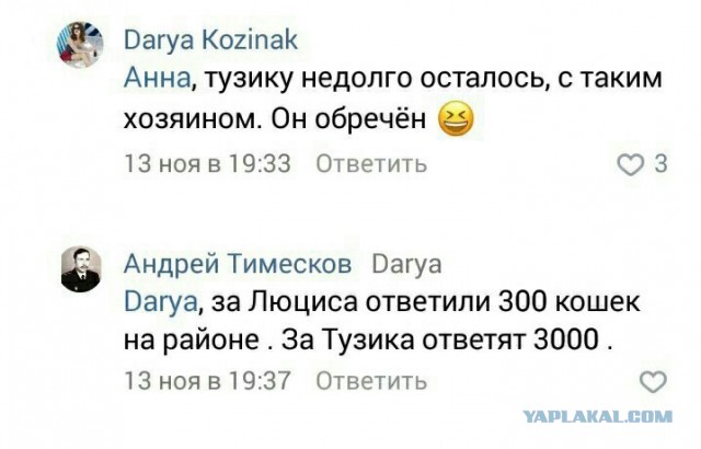 Массовое отравление собак в московском Бутове