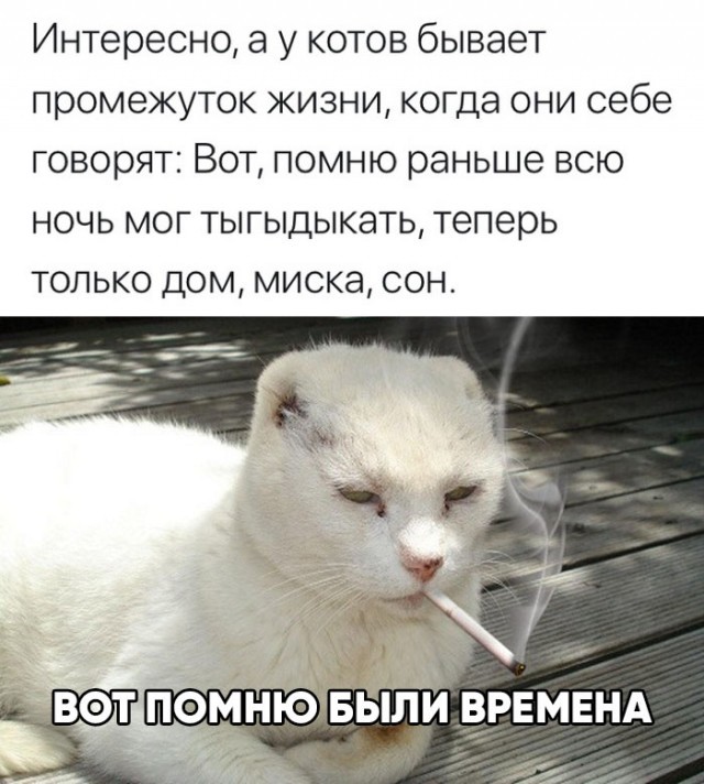 Картинки и мемы для настроения - 17