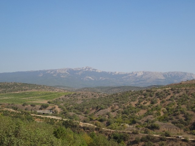 Впервые в Крыму