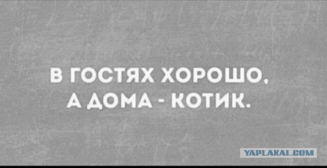 Так себе картинки 18.10.22