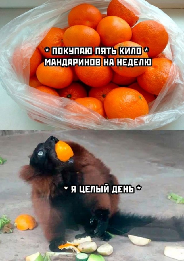 Немного картинок для настроения - 137