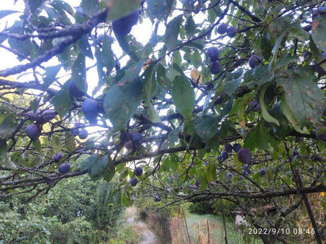 Мой Кавказ. Часть 2