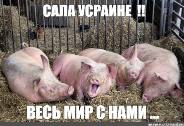 Впечатляющий по количеству участников митинг в поддержку Украины прошел сегодня в Норвегии