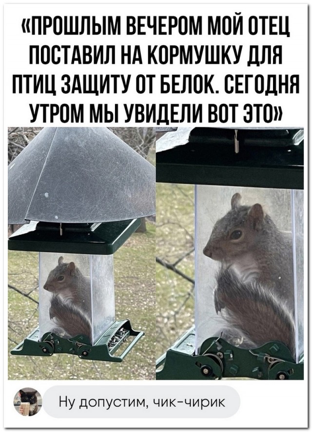 Забавные комментарии из социальных сетей 01.05.23