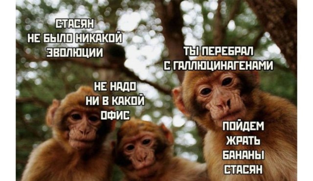 Весёлый полтишок 23.07.23