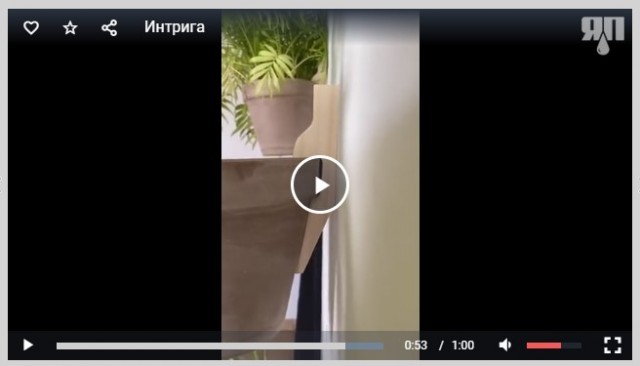 До последнего не мог понять