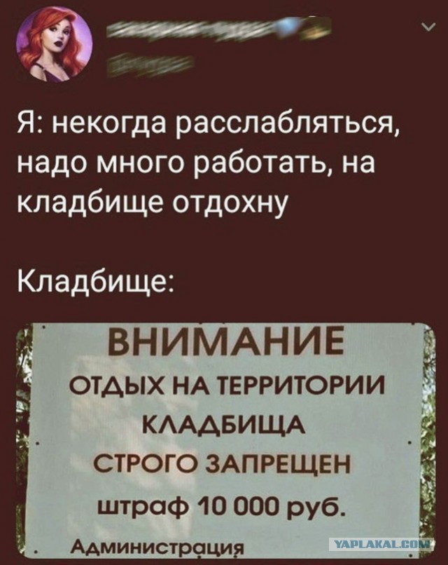 Хозяйство у жениха маленькое, жену не найдет!