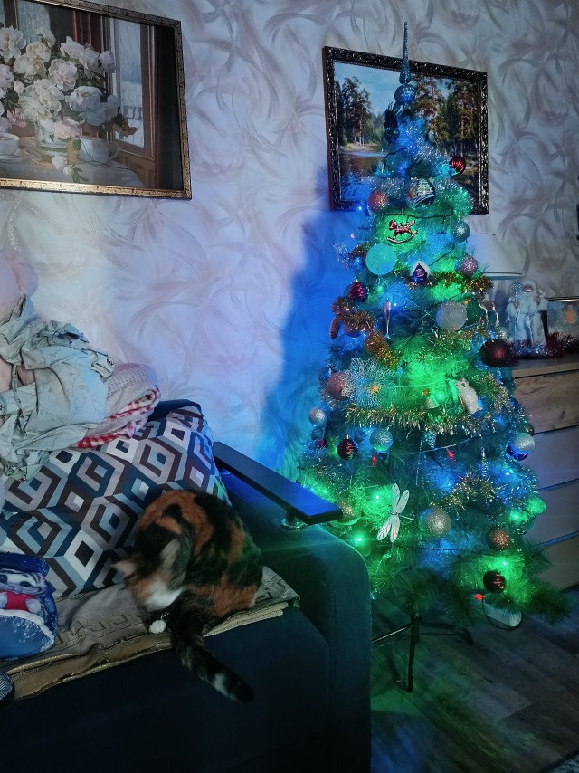 Показываем свои деревья