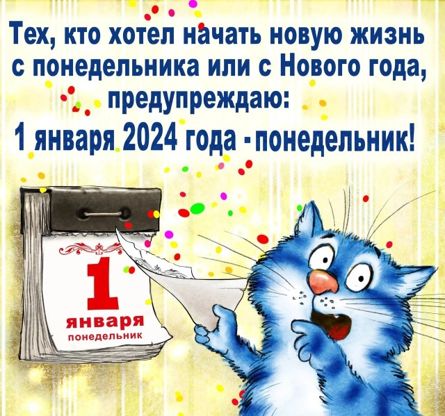 Немного котов из Минска