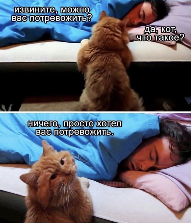 Пятничные улыбательные картинки