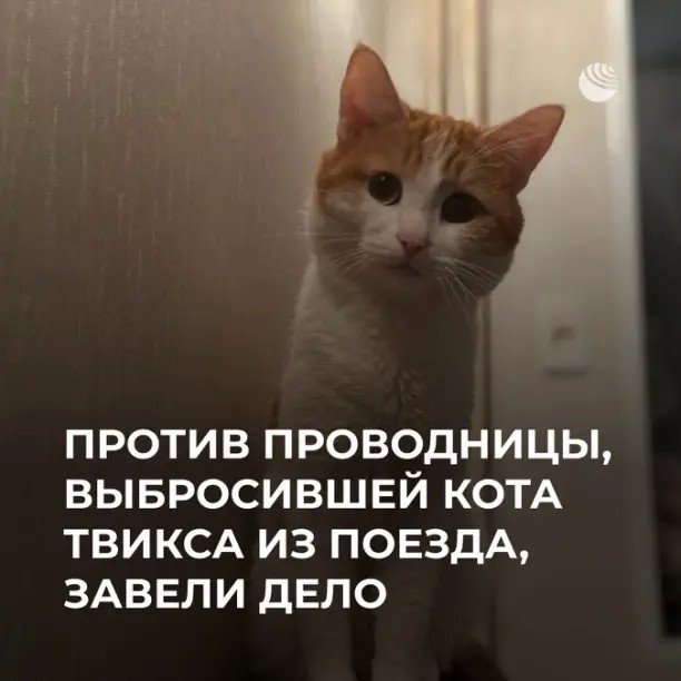 В отношении проводницы возбудили уголовное дело