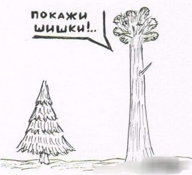 Никакие картинки