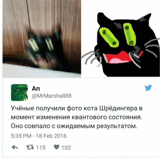 Когдa твой кот немножко приcпешник дьяволa