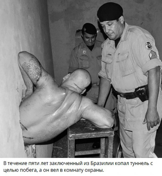 Полиция не создает беспорядков. Она их поддерживает!