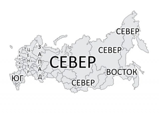 Весёлый полтишок 12.09.24