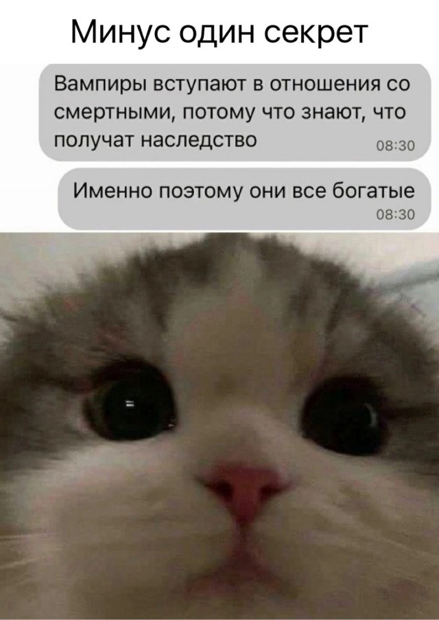 Весёлый полтишок 12.09.24