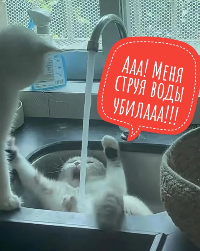 Оскар за лучшую роль в номинации "Драма"